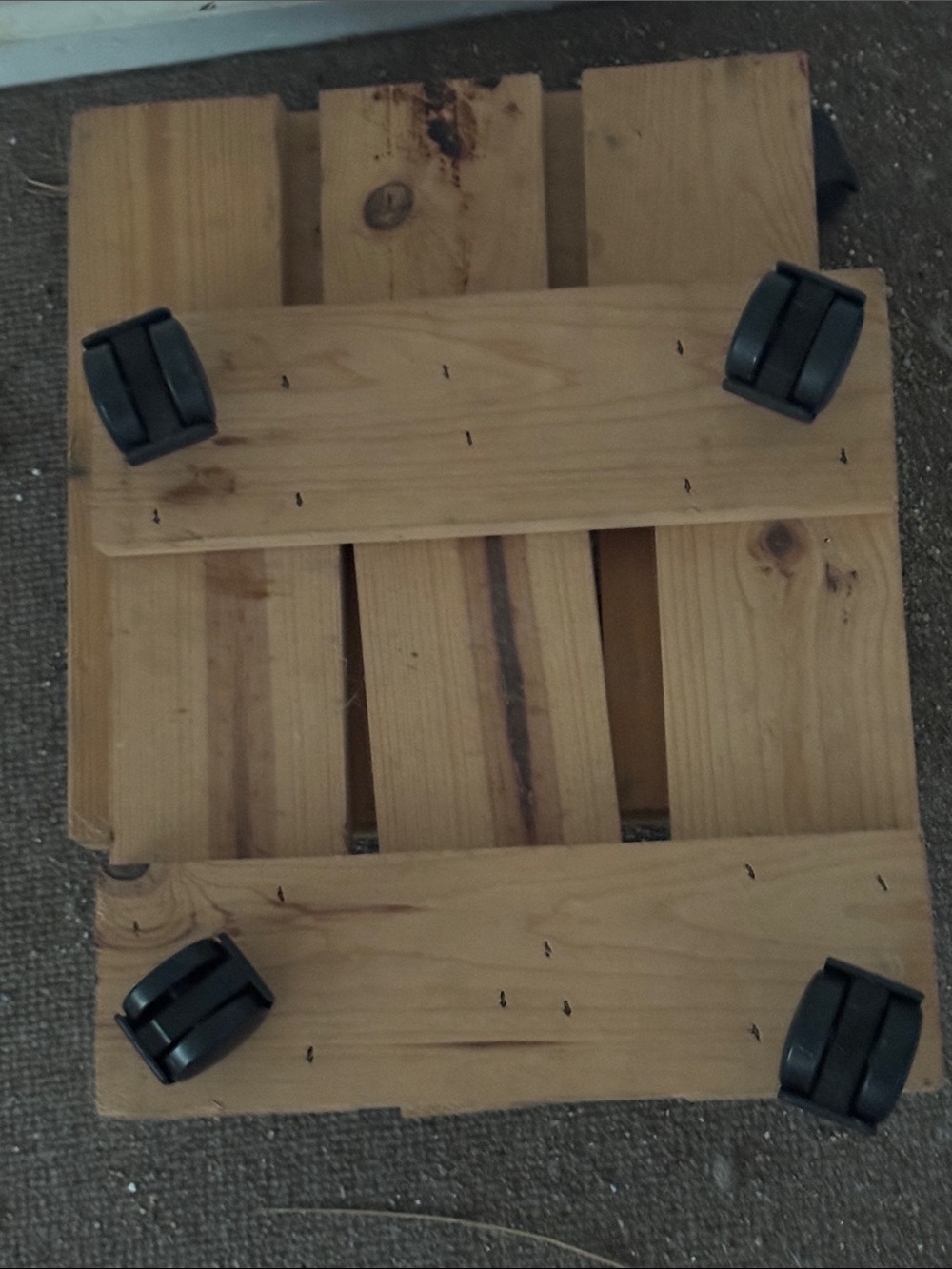 Wooden Plant Caddy with Casters - Natural Wood
